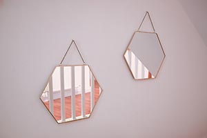 mirror-details_300w
