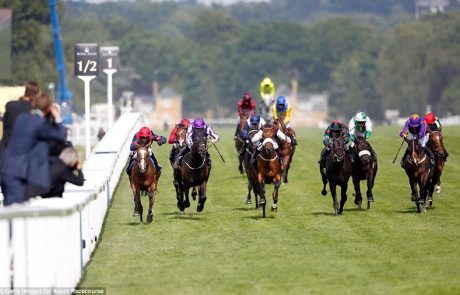 Action shot at Hexham Races