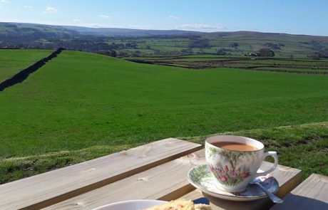 Teh beautiful view of Northumberland from Jill's cafe in Catton