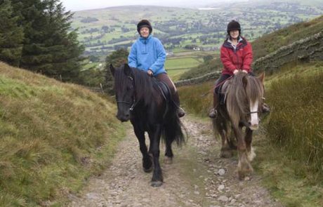 Pony trekking at Sinderhope
